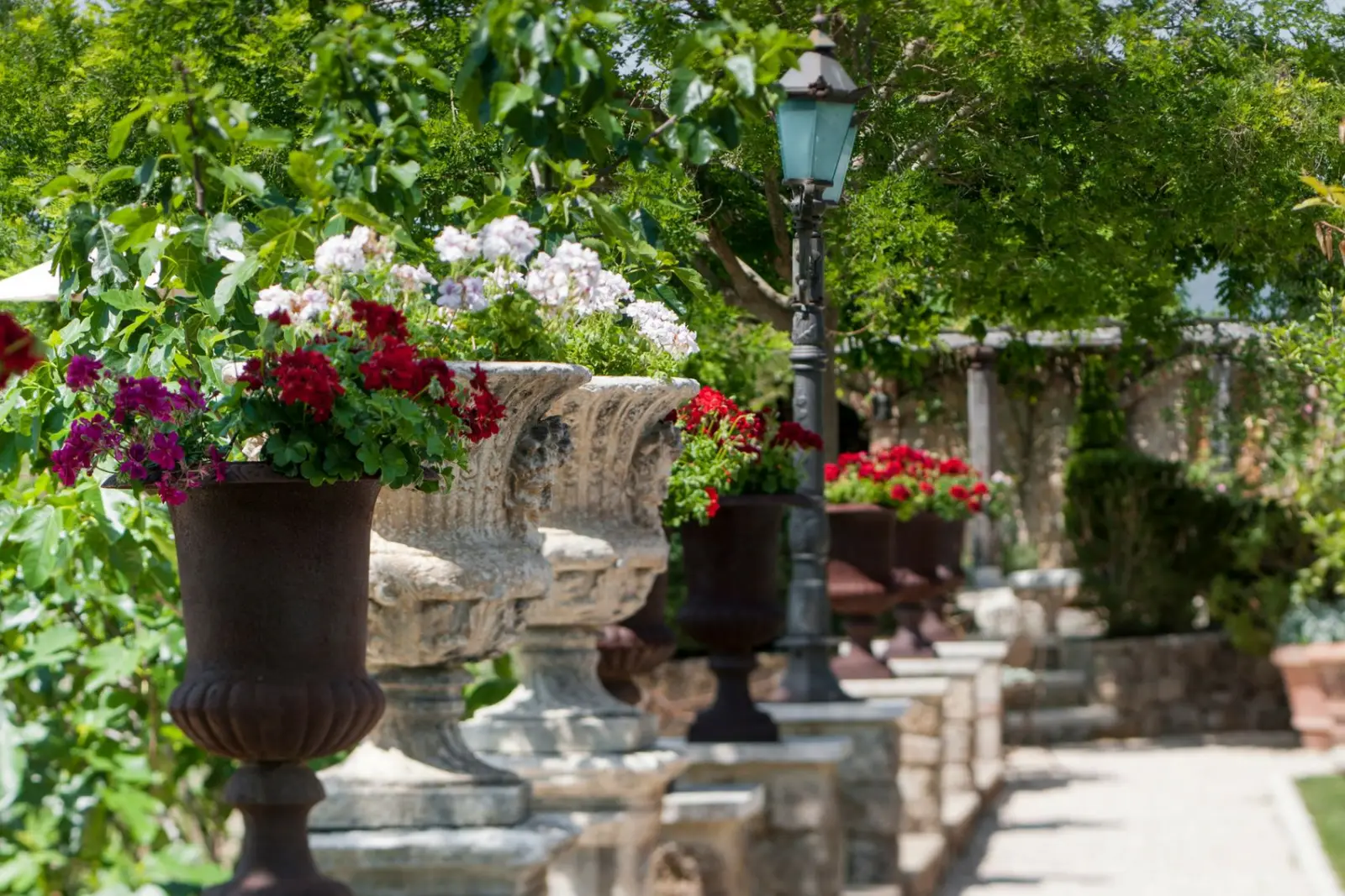 A flowering garden path — Borgo Santo Pietro