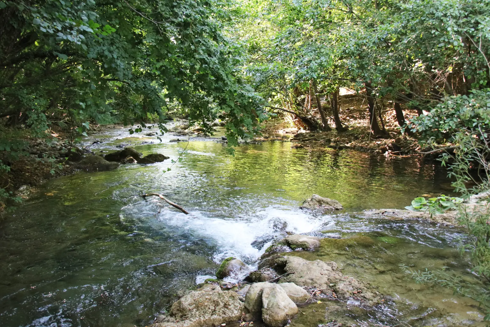 The river through the estate — Borgo Santo Pietro
