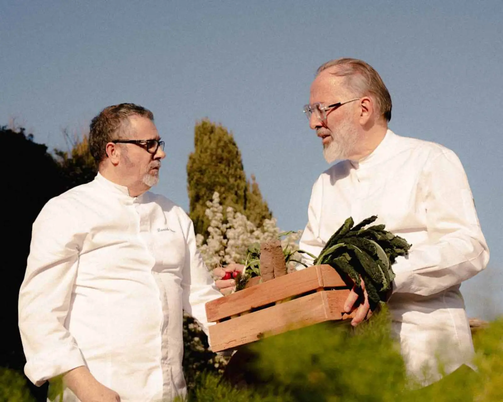 Chef Daniele Sera — Castello di Casole