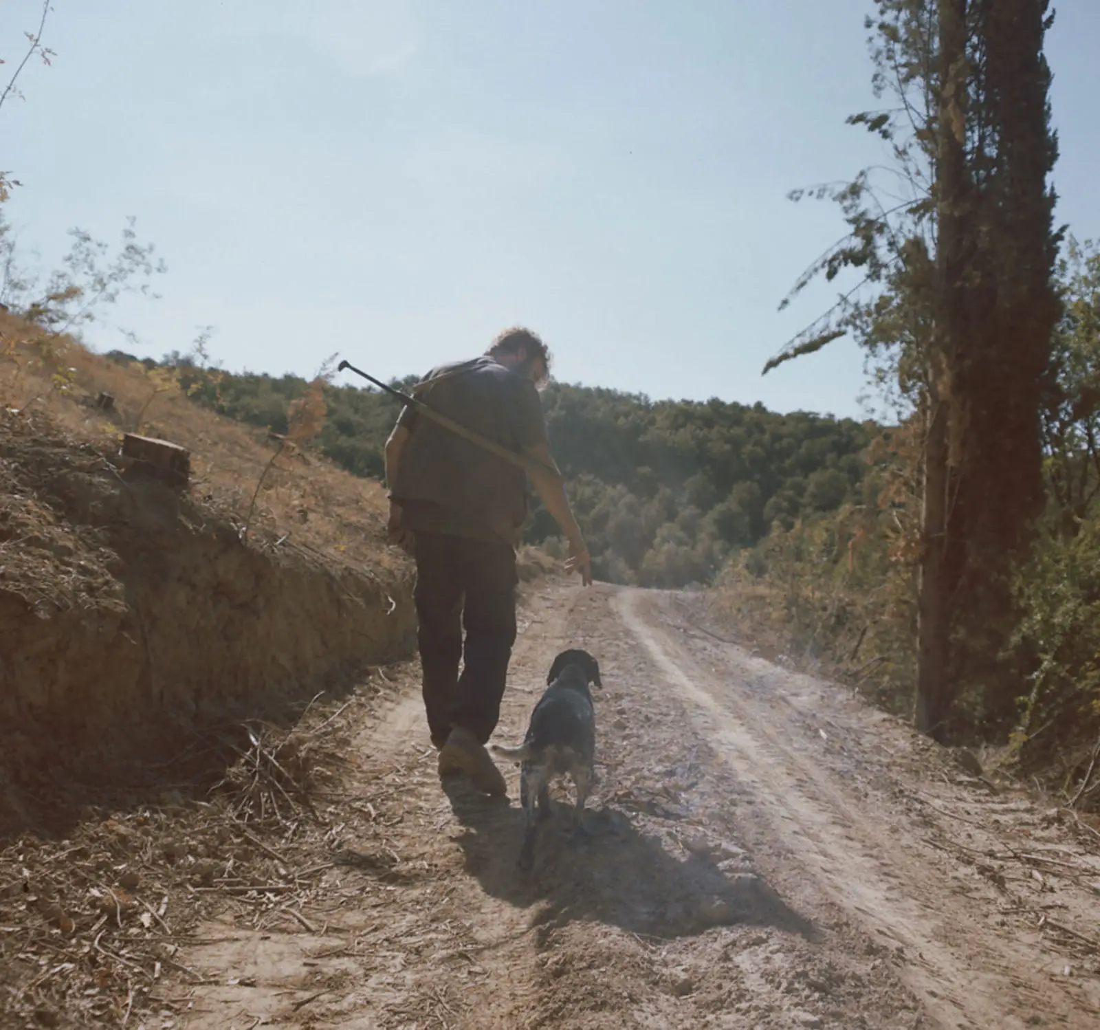 Truffle hunting in the forest — Tuscany