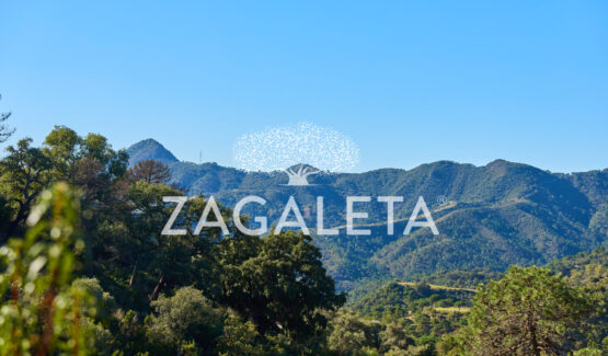 Homesite sud vallée La Zagaleta