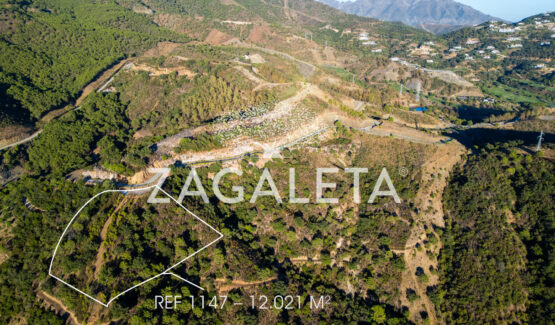 Grand terrain vue panoramique La Zagaleta — Homesite 1147